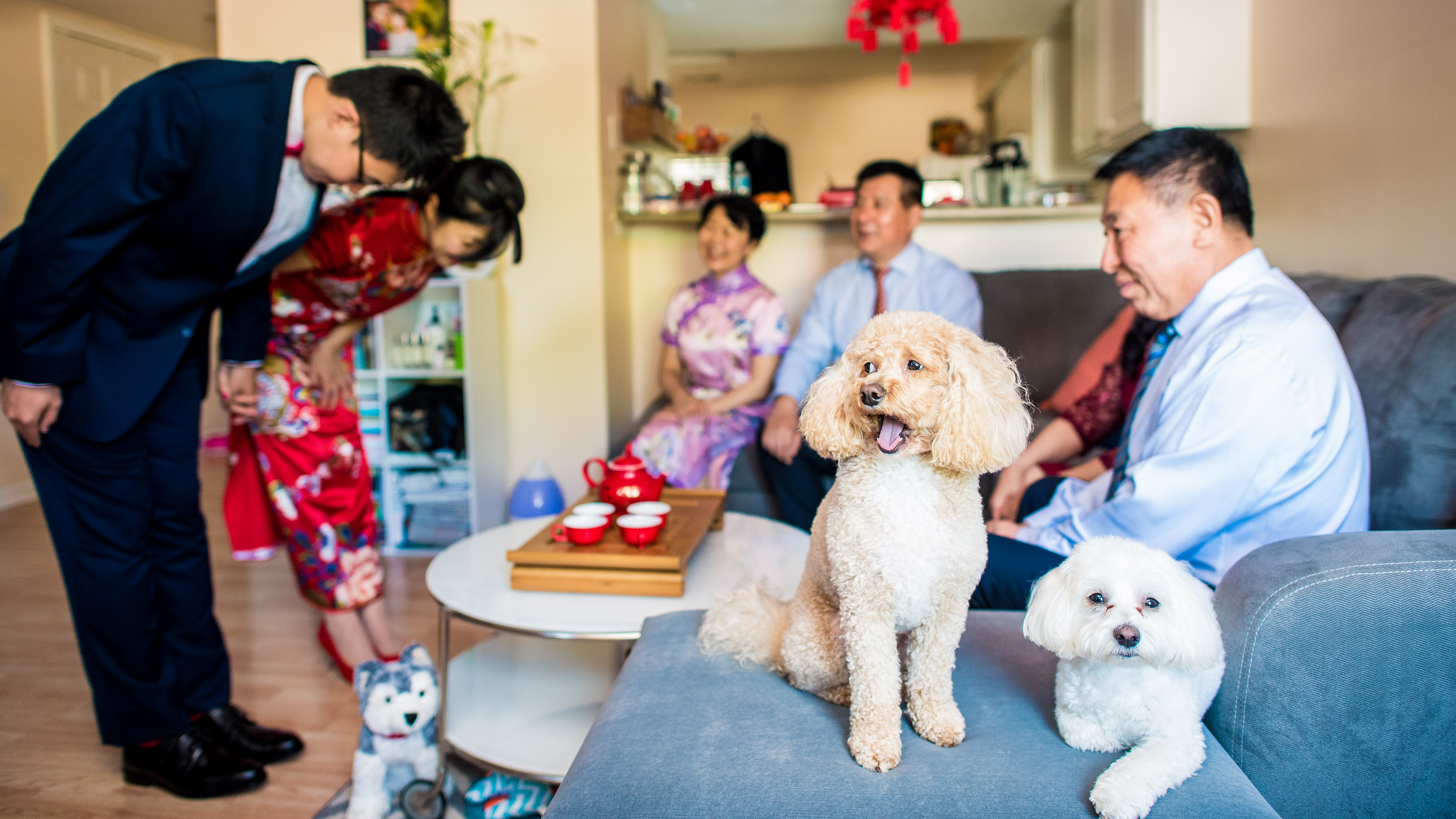Chinese Tea Ceremony Wedding Photography with cute dogs