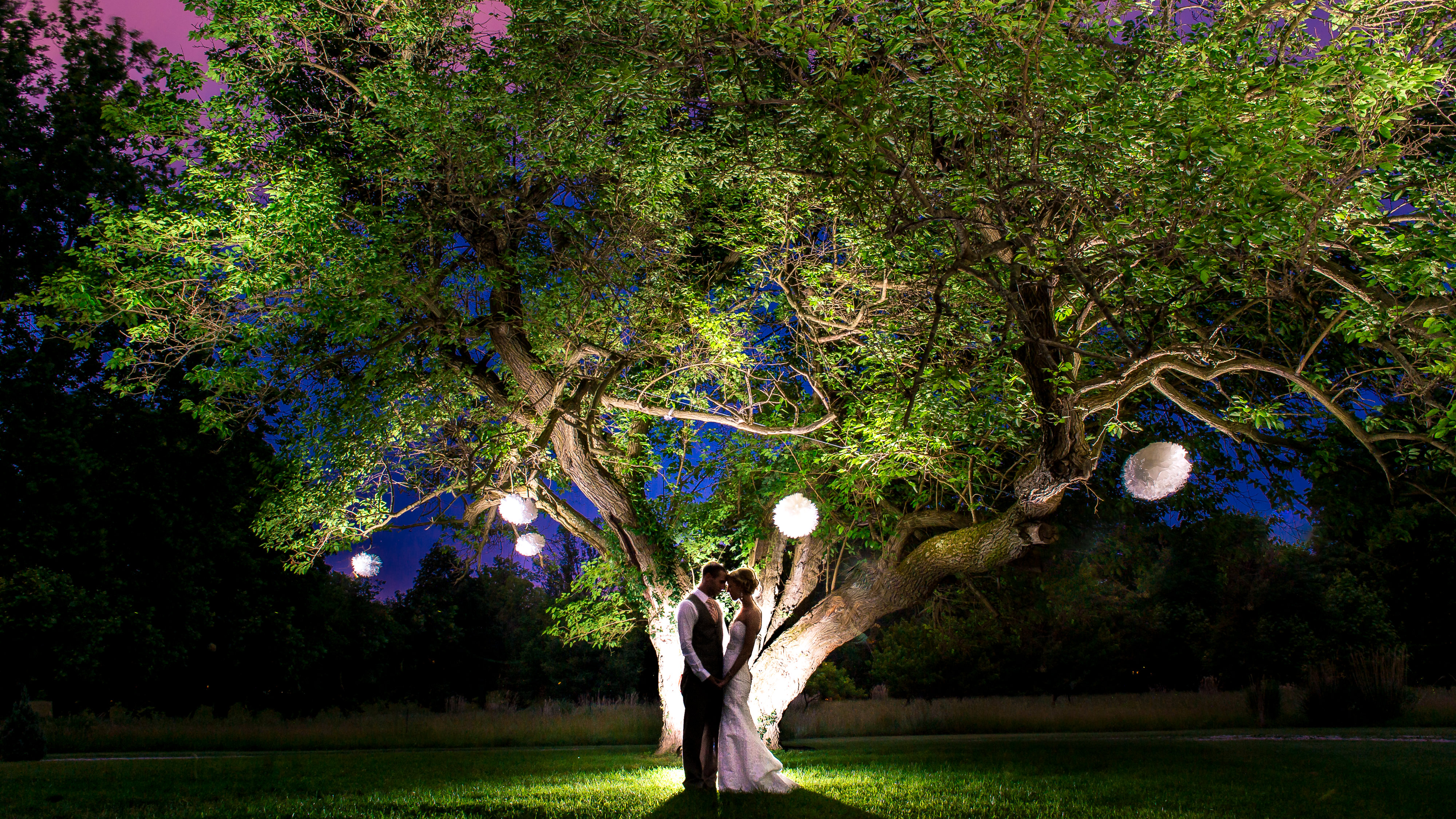 Lovely nighttime wedding portrait under a tree