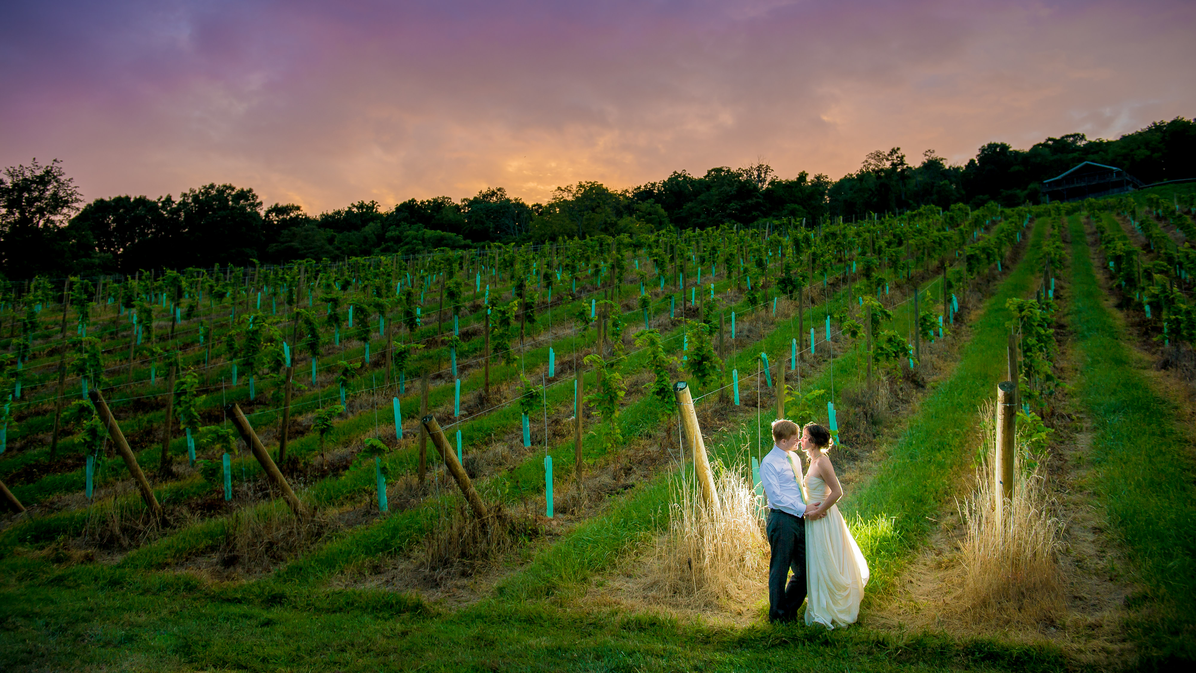 Virginia Winery Wedding Photos