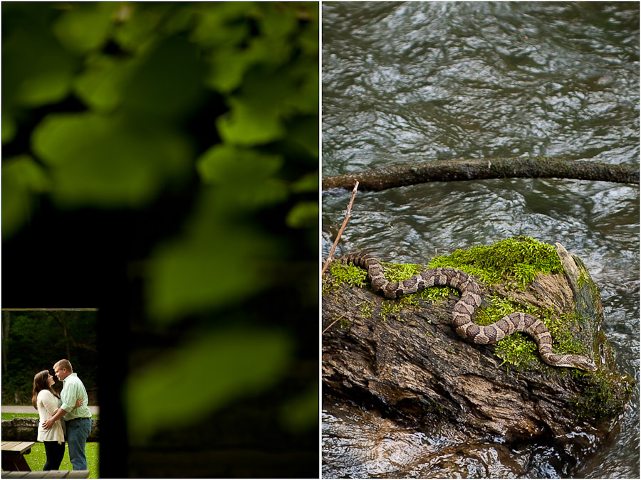 copperhead at engagement session!