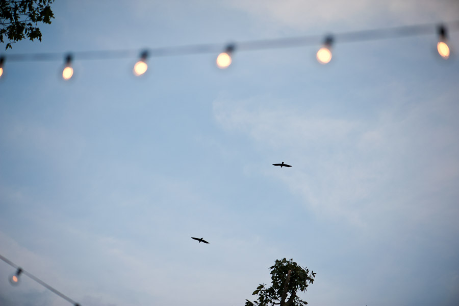 Wintergreen-Virginia-Wedding-Photography-22 birds at wedding