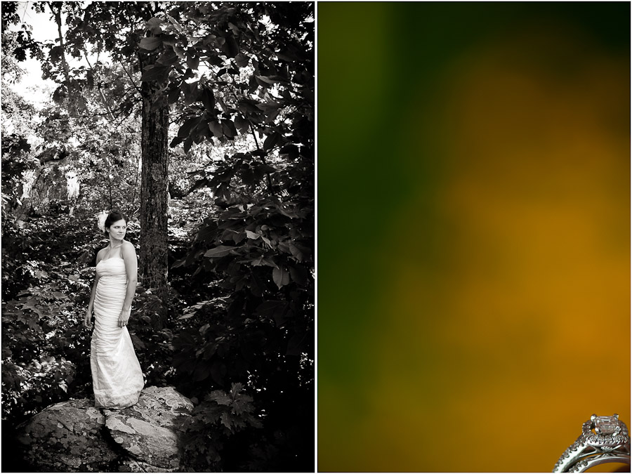 Wintergreen-Virginia-Wedding-Photography-7 wintergreen bridal portrait