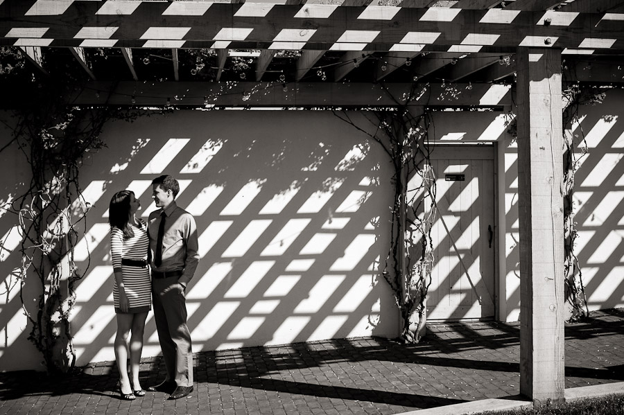 King-Family-Vineyard-Engagement-Photos-Crozet-Virginia-2 Shadow Pattern Engagement Photo at King Family Vineyard