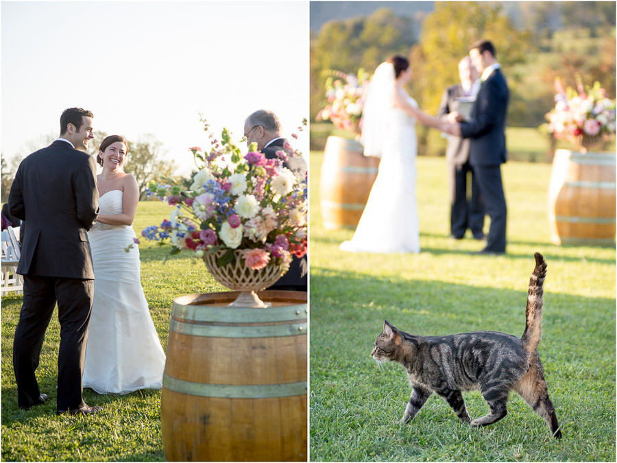 Charlottesville-Wedding-Photography-King-Family-Vineyards-Jess-Dave-08 Hilarious ceremony moment with cat at King Family Vineyard wedding photograph