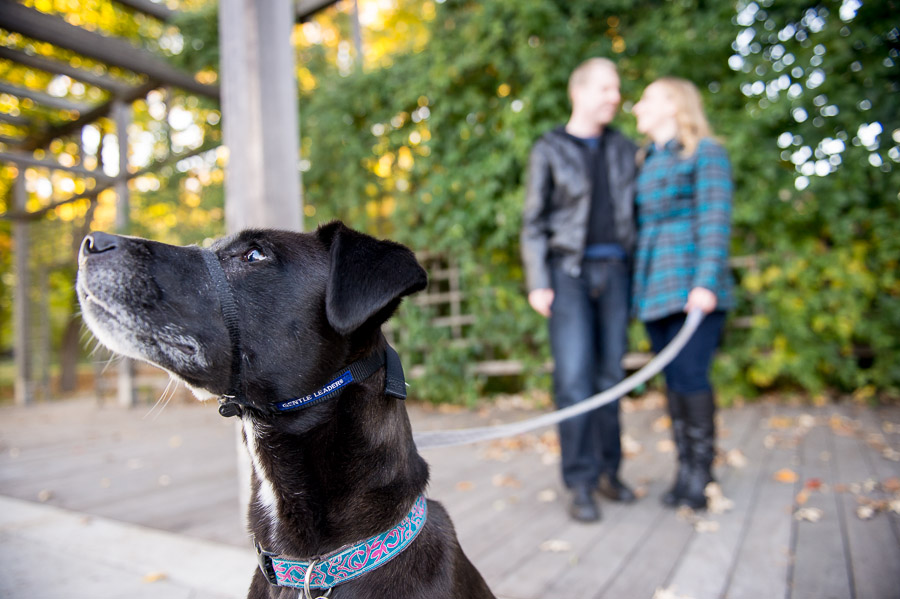 Broad-Ripple-Indianapolis-Wedding-Engagement-Photography-Rebecca-Nathan-04 Colorful, quirky engagement photos with dog in Indiana