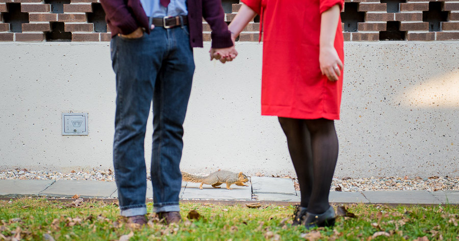 Squirrel interrupting engagement shoot