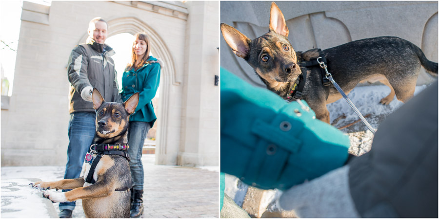 Bloomington-Engagement-Photos-Indiana-University-Alicia-Sean-06 Indiana University Engagement Pics with Pet Dogs!