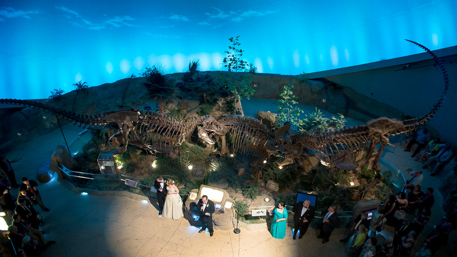 Indianapolis-Childrens-Museum-Wedding-Photography-Rebecca-Nathan-17 Fun and dramatic wedding toasts in the Dinosphere!