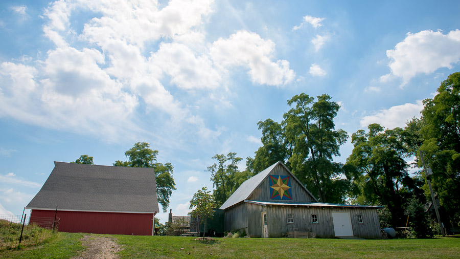 Dulls-Tree-Farm-Wedding-Photography-Indiana-Anna-Dan-01 gorgeous, picturesque wedding photography on Christmas tree farm in Indiana