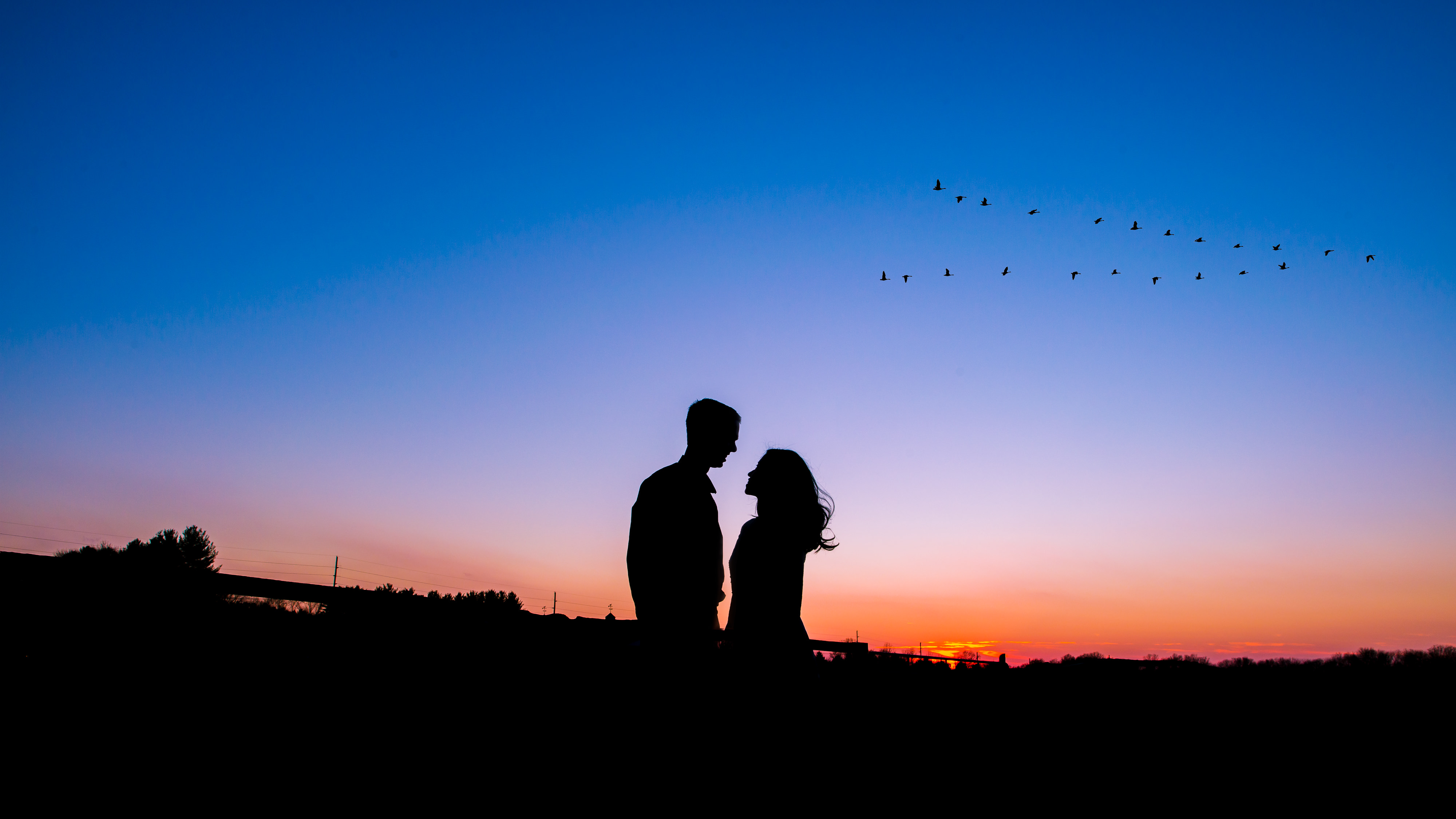 Silhouette engagement photo with flying v of geese!