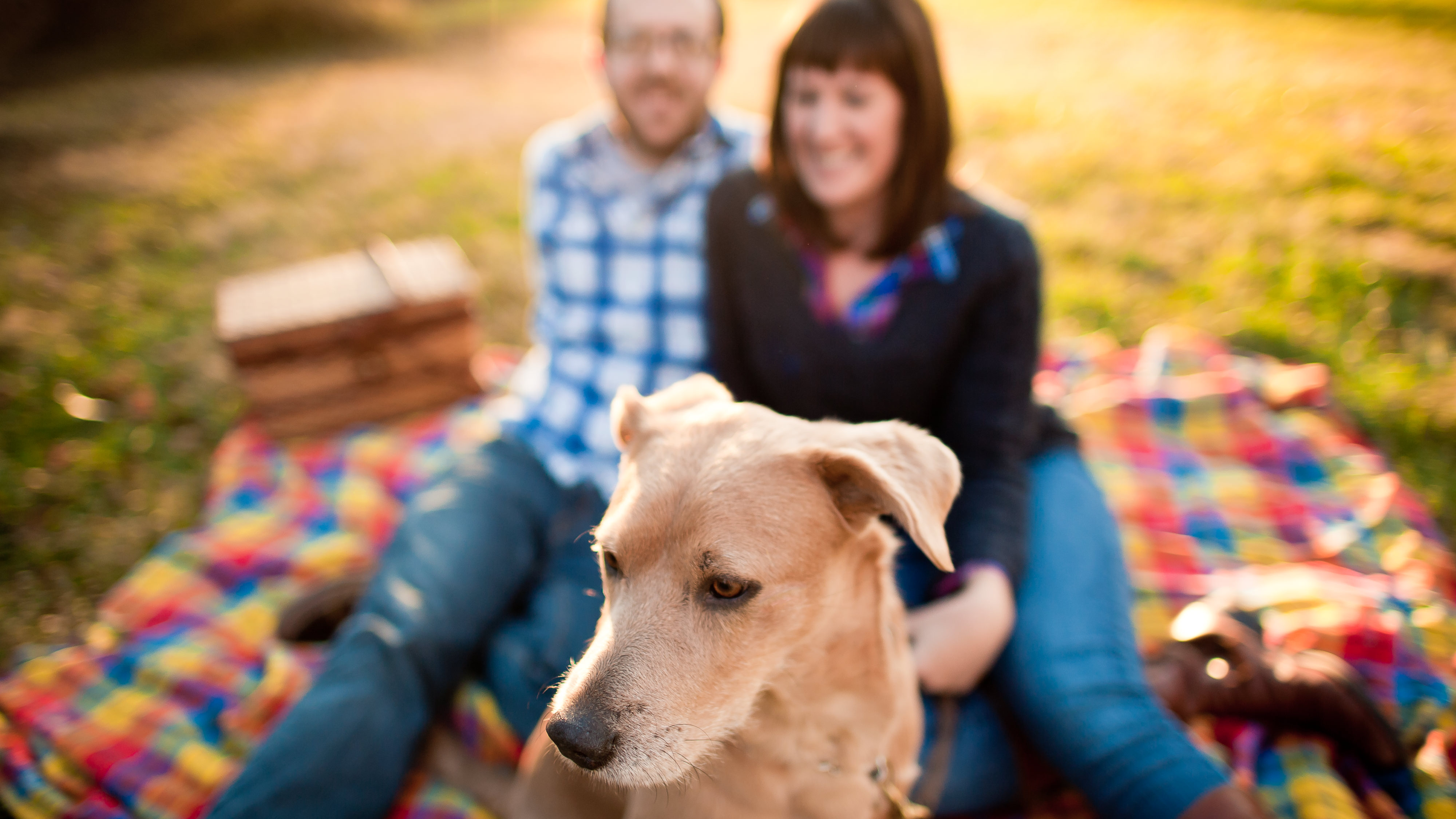 Fun and casual engagement sessions with pets