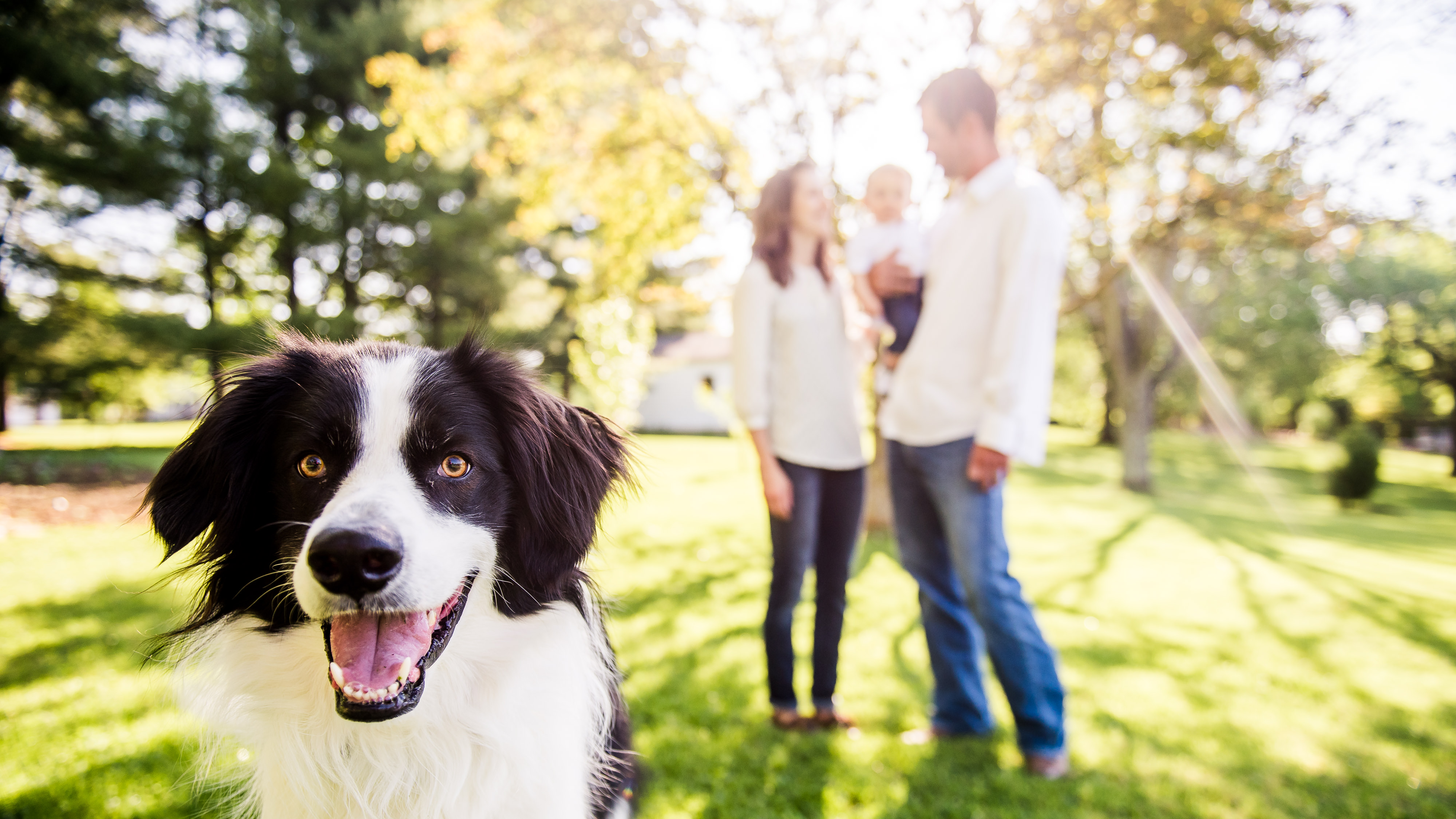 Fun and candid family pics with their pets!