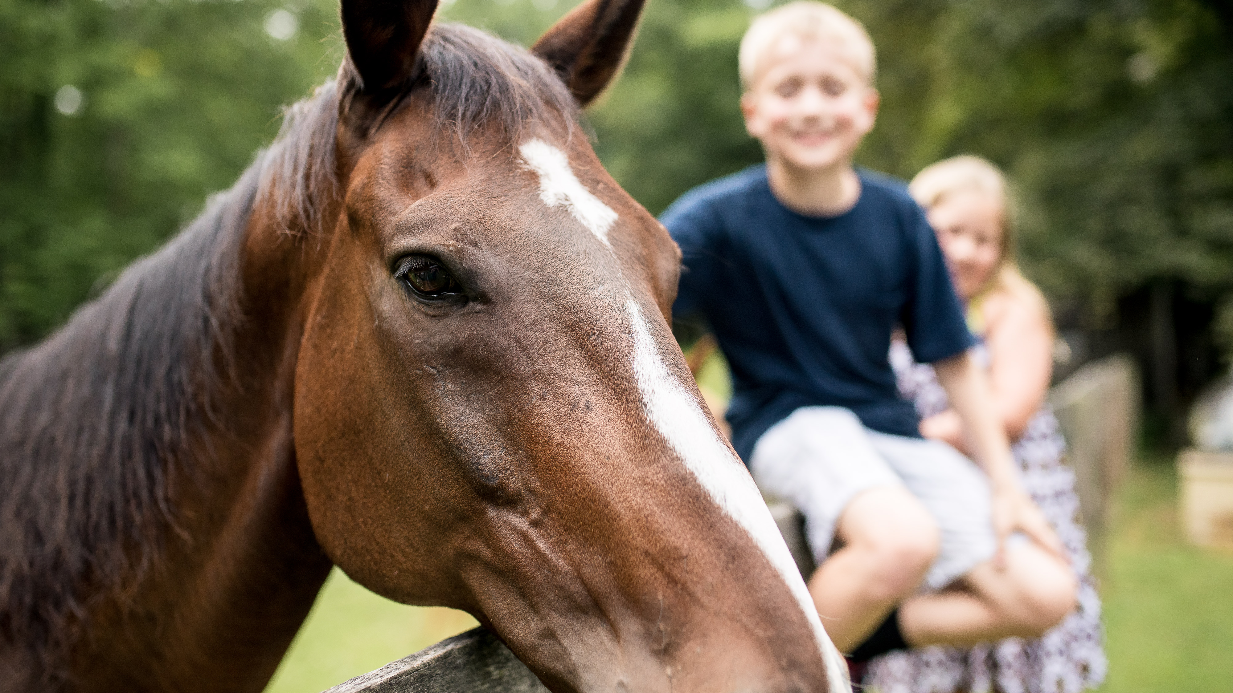 Fun family documentary photos on the farm