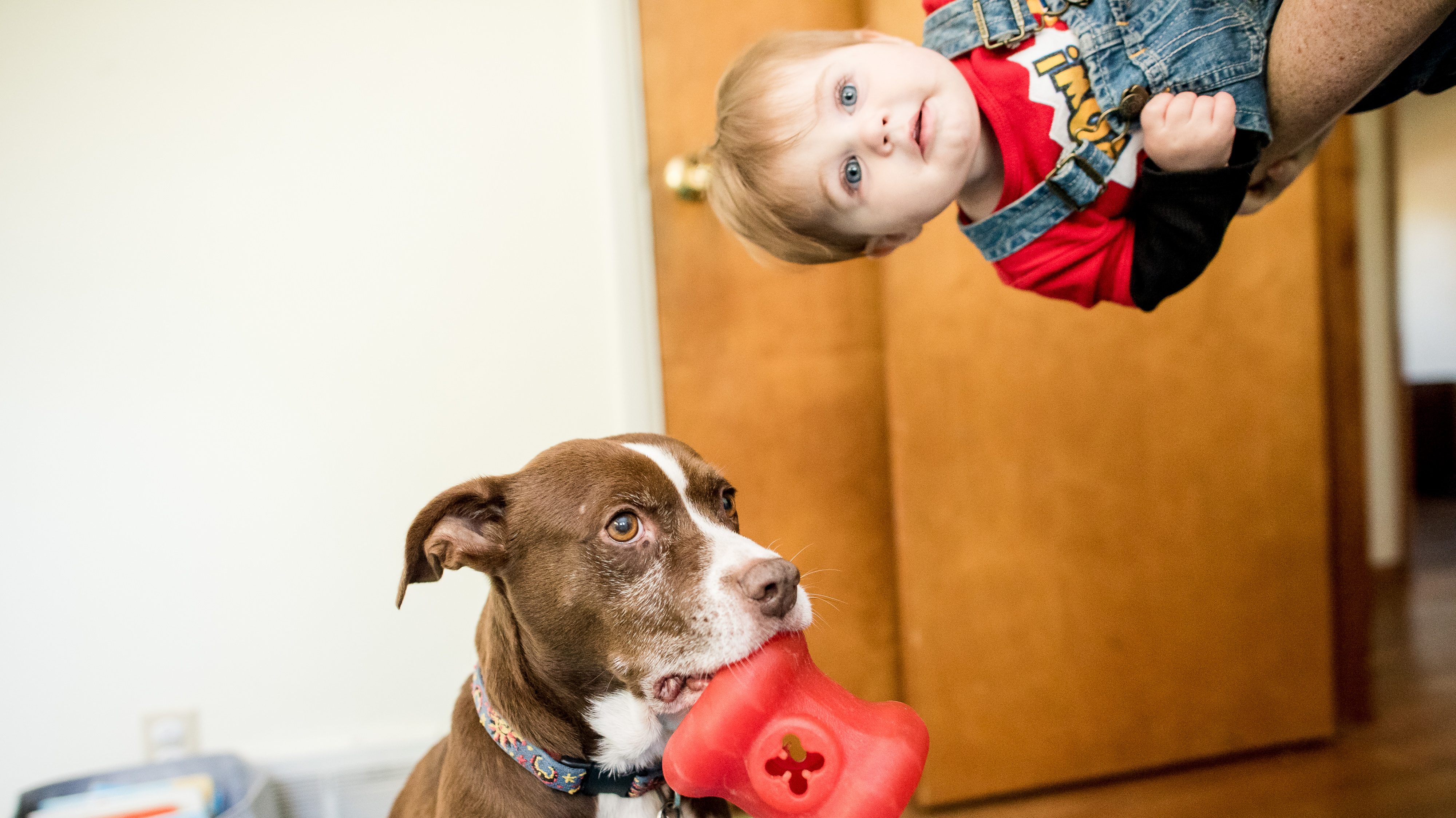 Funny family photos with family dog