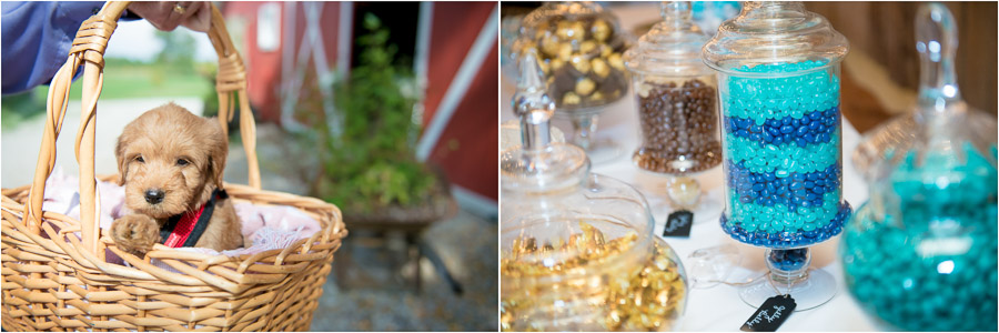 Dulls-Tree-Farm-Wedding-Photos-Indiana-Kate-Dustin-10 Cute puppy at wedding