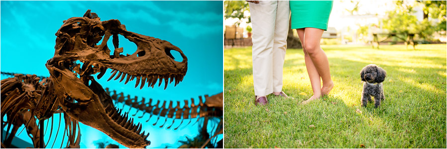 Bloomington-Indianapolis-Wedding-Photographers-2013-Favorite-Photos-of-the-Year-18 Dinosaur bones and mini poodles! Funny animals in portraits.
