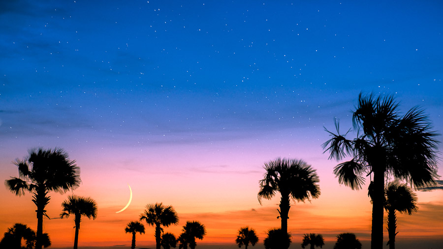 Bloomington-Indianapolis-Wedding-Photographers-2013-Favorite-Photos-of-the-Year-04 Gorgeous, coloful sunset with palm trees from our South Carolina travels.