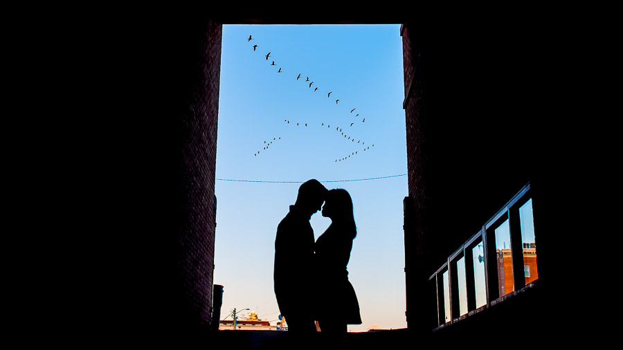 Harrisonburg-Engagement-Photography-JMU-Arboretum-Downtown-Van-Brian-6