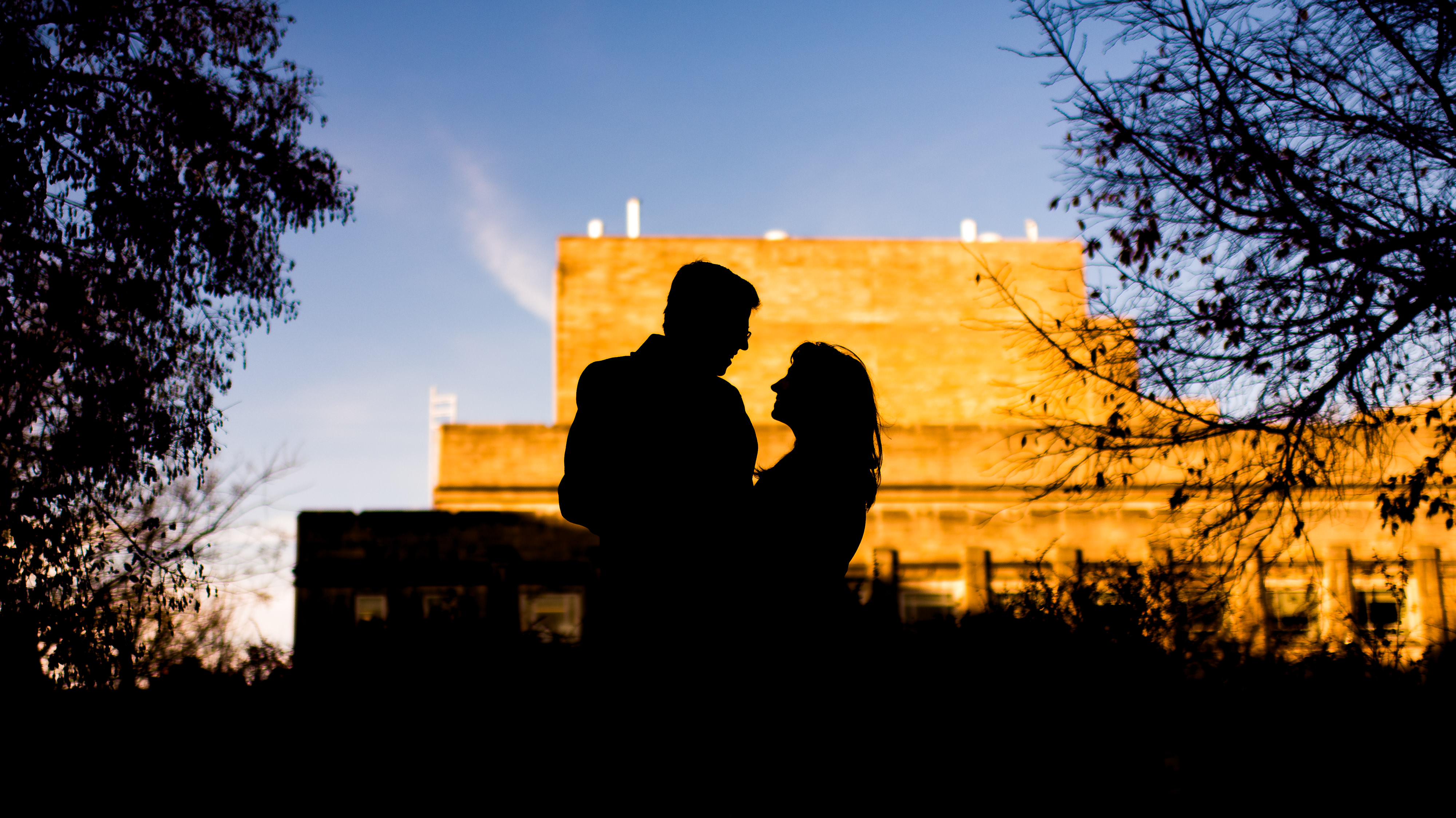 Silhouette Engagement Pics